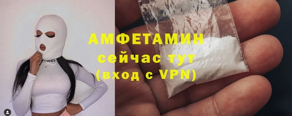 индика Лабытнанги