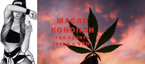 индика Лабытнанги