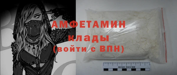 индика Лабытнанги