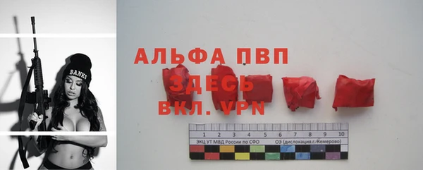 индика Лабытнанги
