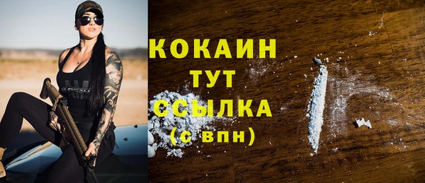 индика Лабытнанги