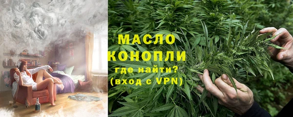 индика Лабытнанги