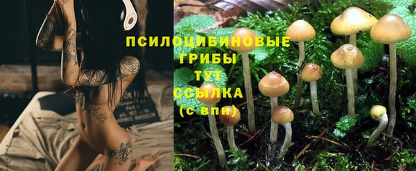 индика Лабытнанги
