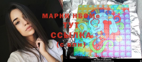 индика Лабытнанги
