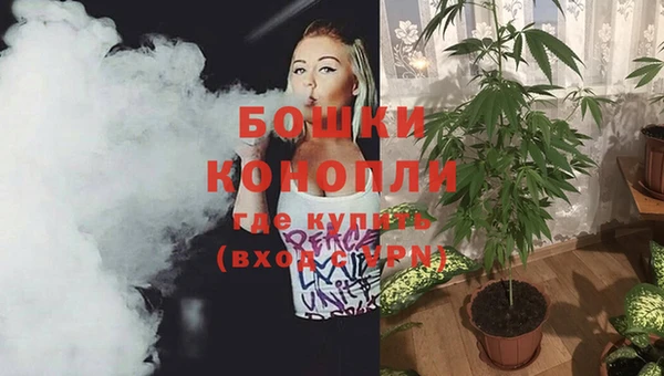 индика Лабытнанги