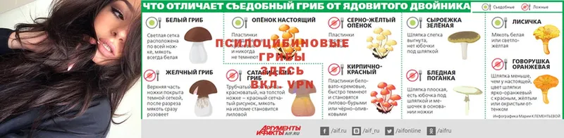 Галлюциногенные грибы ЛСД  Сертолово 